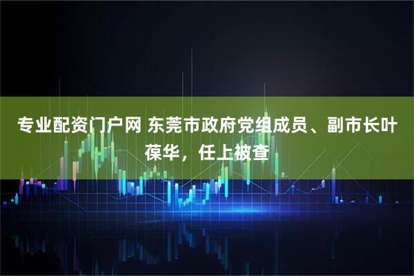 专业配资门户网 东莞市政府党组成员、副市长叶葆华，任上被查